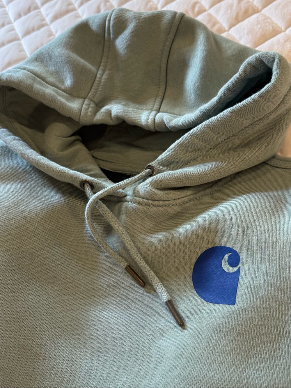Carhartt Women's Midweight Pullover Hoodie Sage Green Blue Sleeve Logo XS